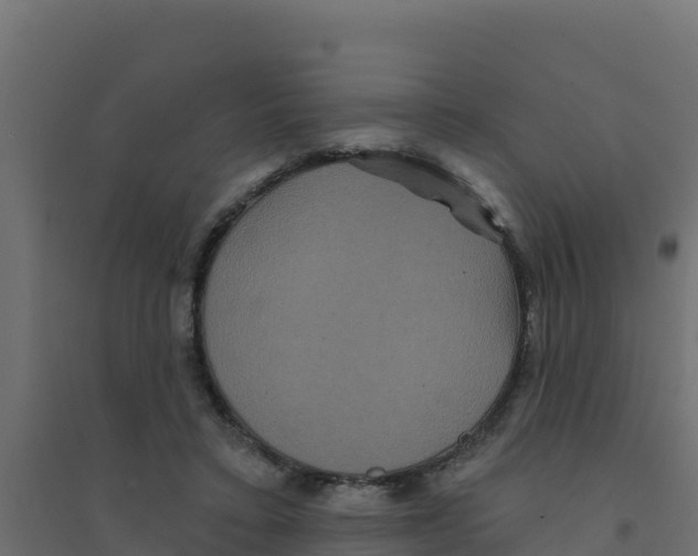 X0000094190403200711241619