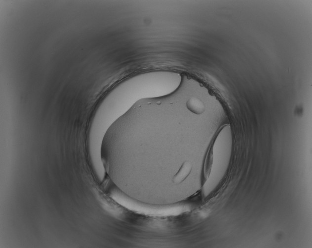 X0000094190405200711241619