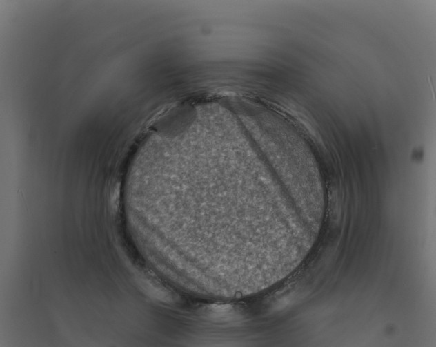 X0000094190406200711241619