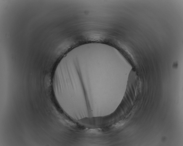 X0000094190407200711241619