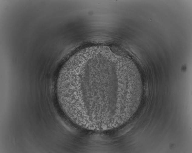 X0000094190408200711241619