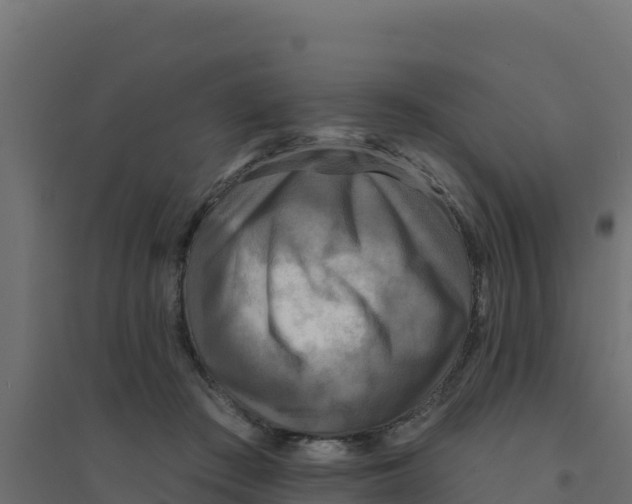 X0000094190409200711241619