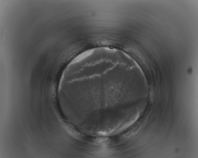 X0000094190410200711241619
