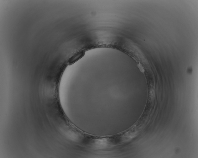 X0000094190411200711241619
