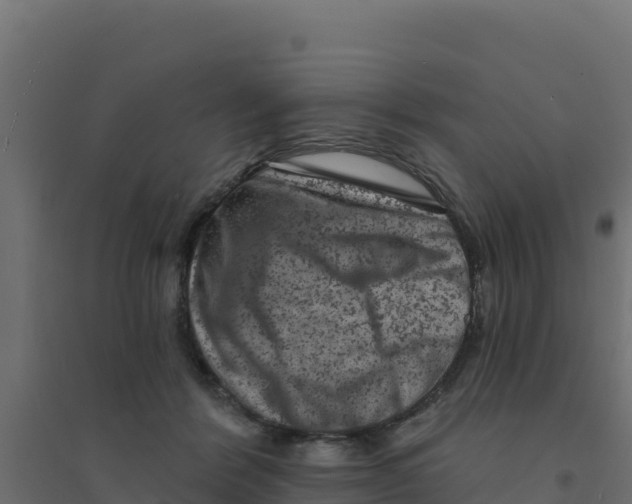 X0000094190412200711241619