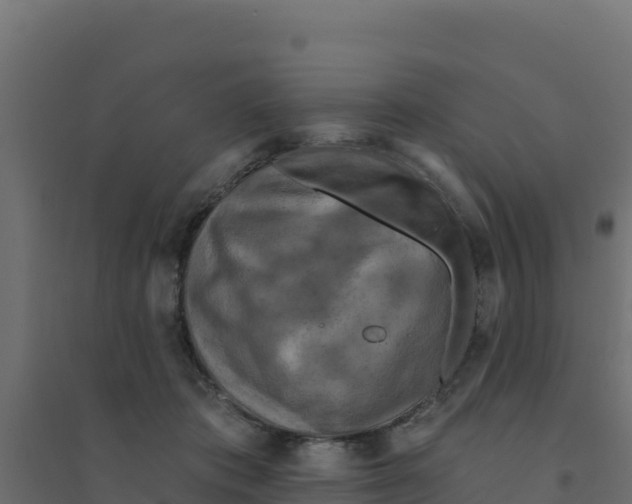 X0000094190413200711241619