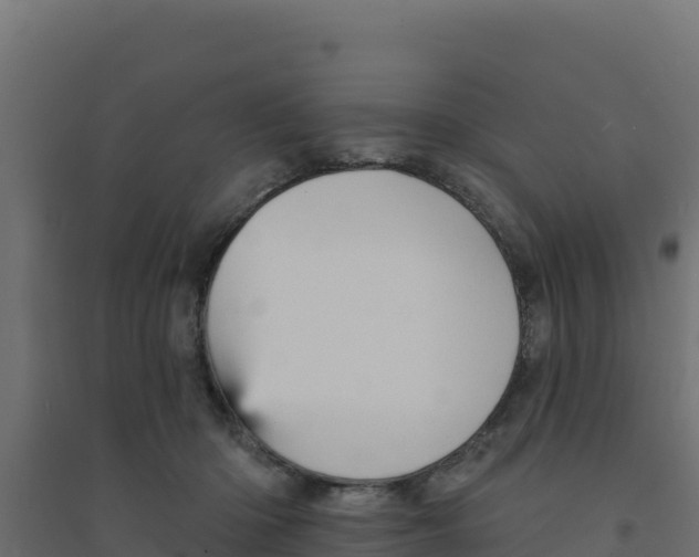 X0000094190414200711241619