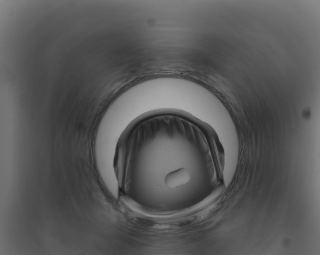 X0000094190415200711241619
