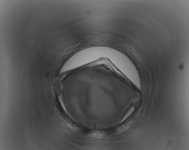 X0000094190416200711241619