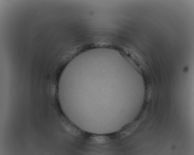 X0000094190417200711241619