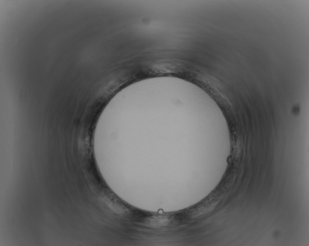 X0000094190418200711241619