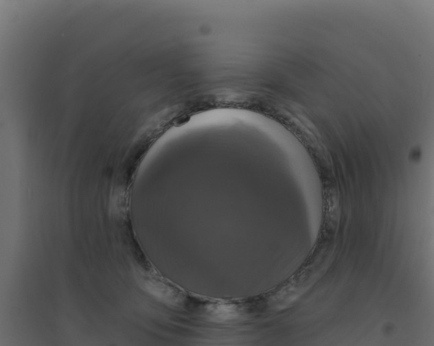 X0000094190419200711241619