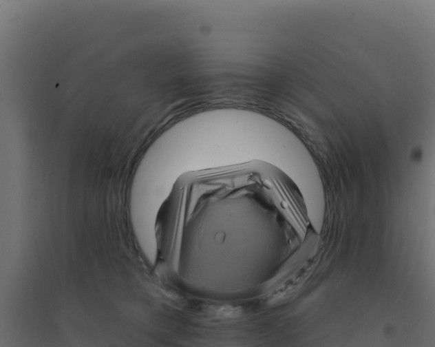 X0000094190421200711241619