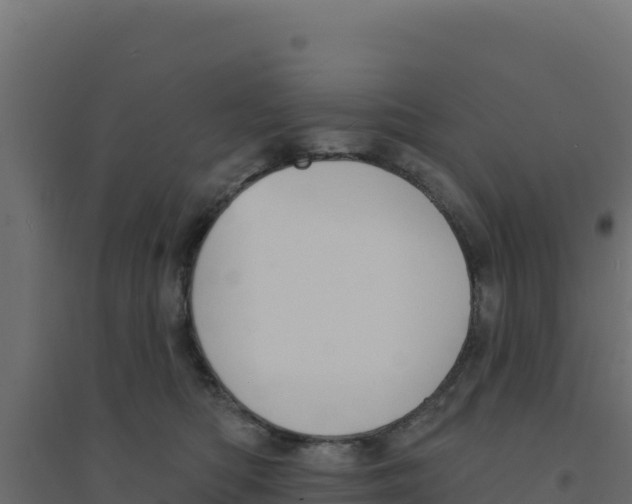 X0000094190422200711241619