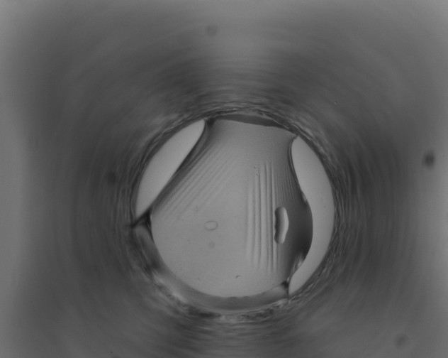 X0000094190423200711241619