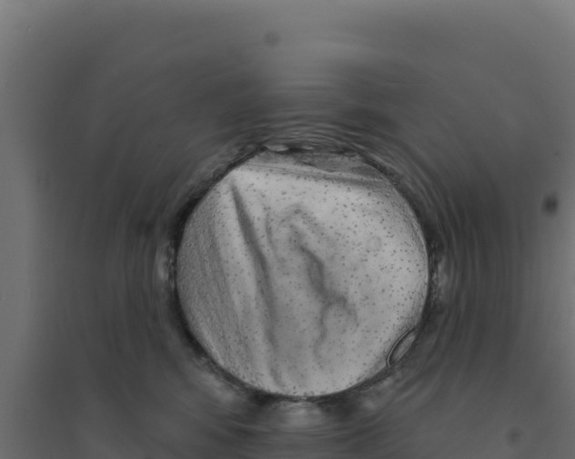 X0000094190424200711241619