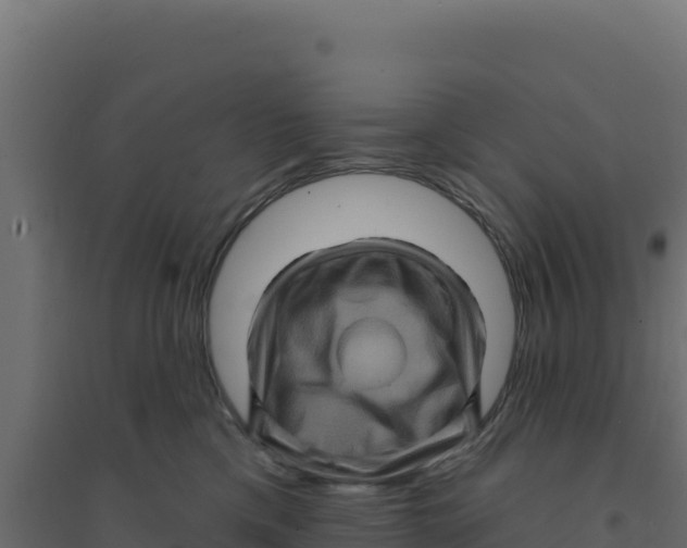 X0000094190425200711241619
