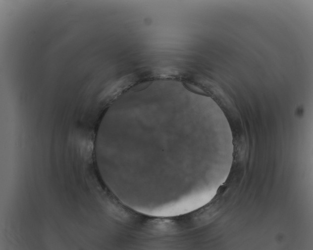 X0000094190427200711241619