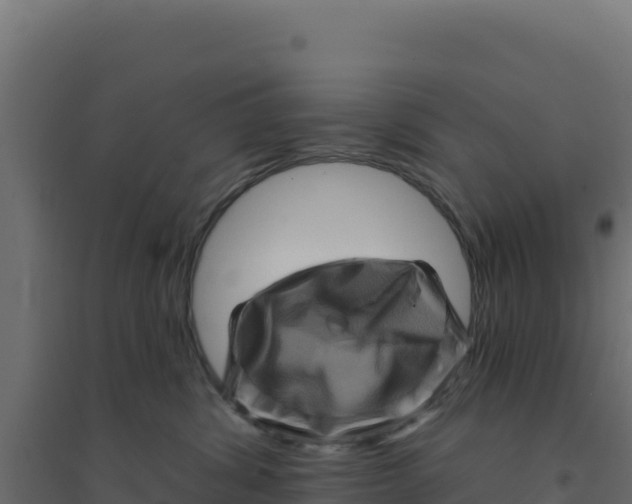 X0000094190428200711241619
