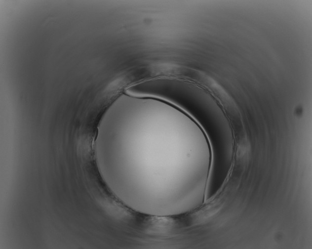 X0000094190429200711241619