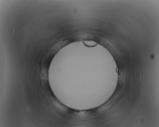 X0000094190430200711241619