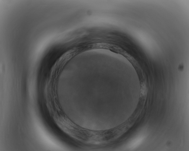 X0000094190431200711241619