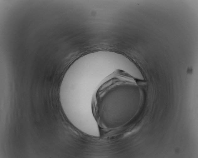 X0000094190432200711241619
