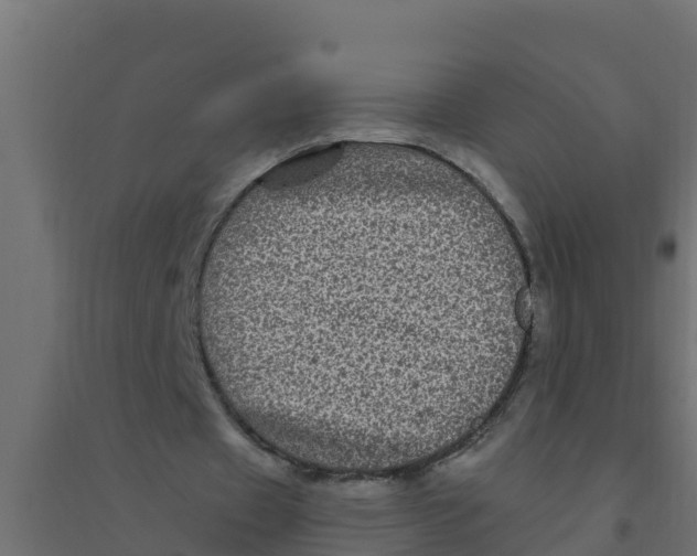 X0000094190433200711241618