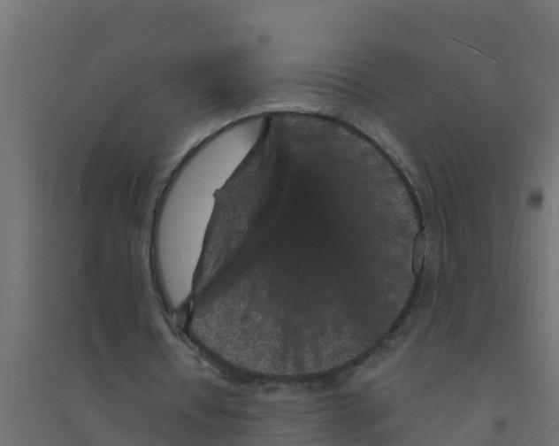 X0000094190434200711241618