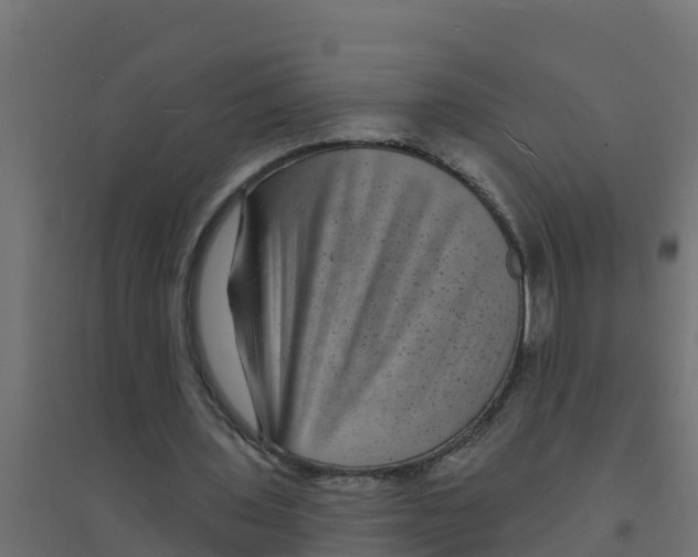 X0000094190435200711241618