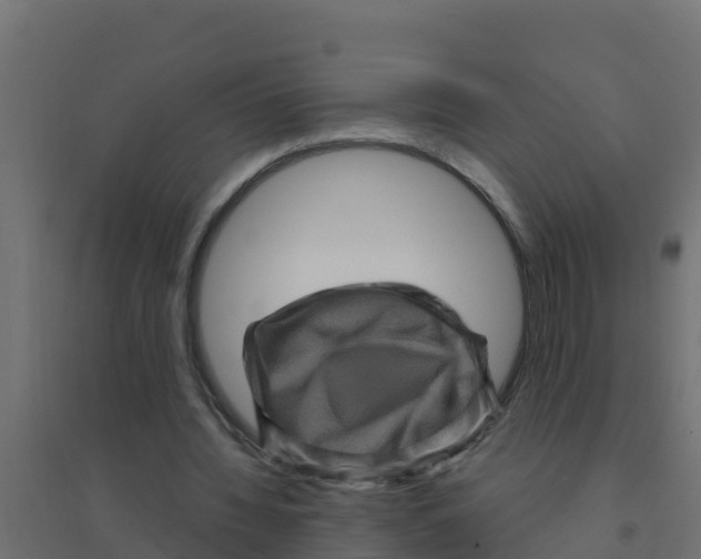 X0000094190436200711241618
