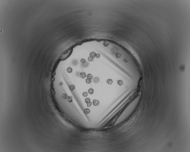 X0000094190437200711241618