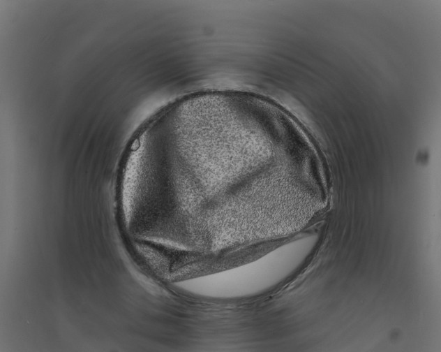 X0000094190438200711241618