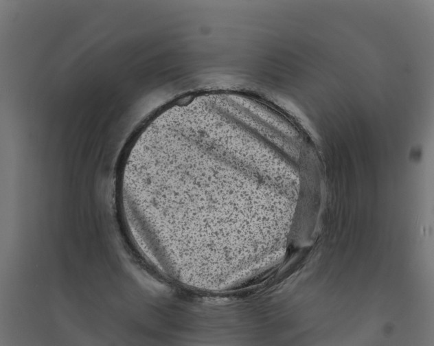 X0000094190439200711241618
