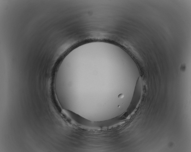 X0000094190440200711241618