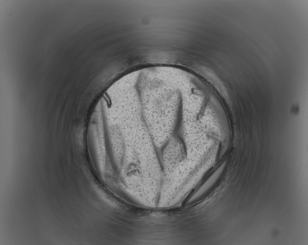 X0000094190441200711241619