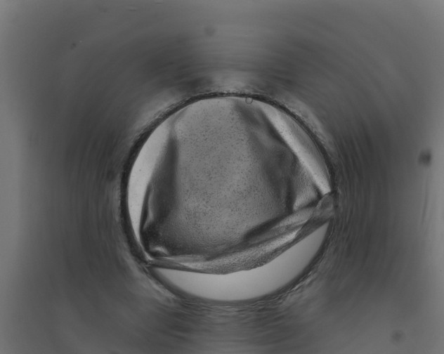 X0000094190442200711241619