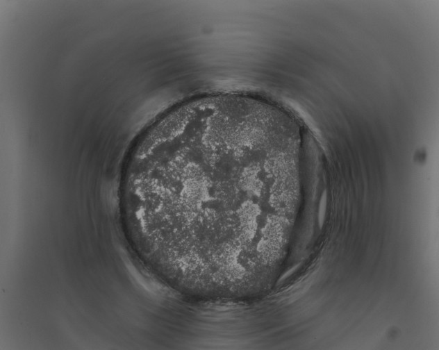 X0000094190443200711241619