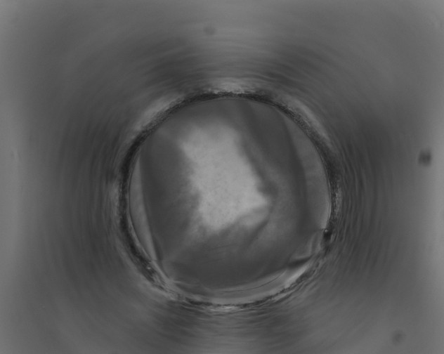 X0000094190444200711241619