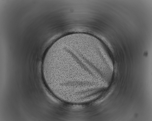 X0000094190445200711241619