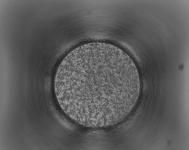 X0000094190447200711241619