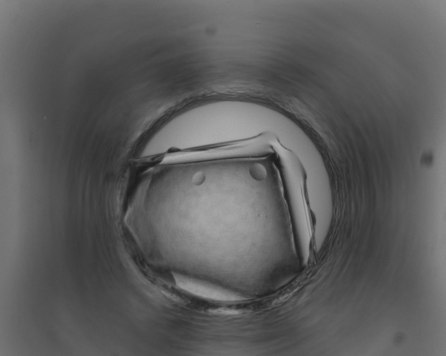 X0000094190448200711241619