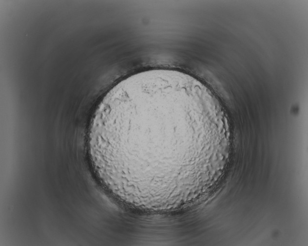 X0000094190449200711241619