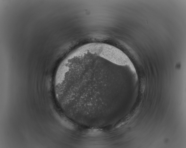 X0000094190451200711241619