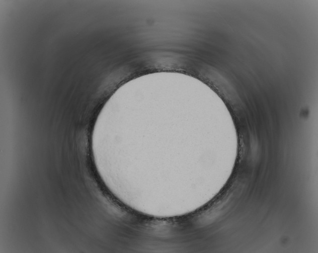 X0000094190453200711241619