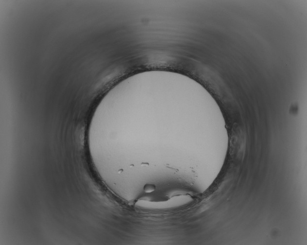 X0000094190454200711241619
