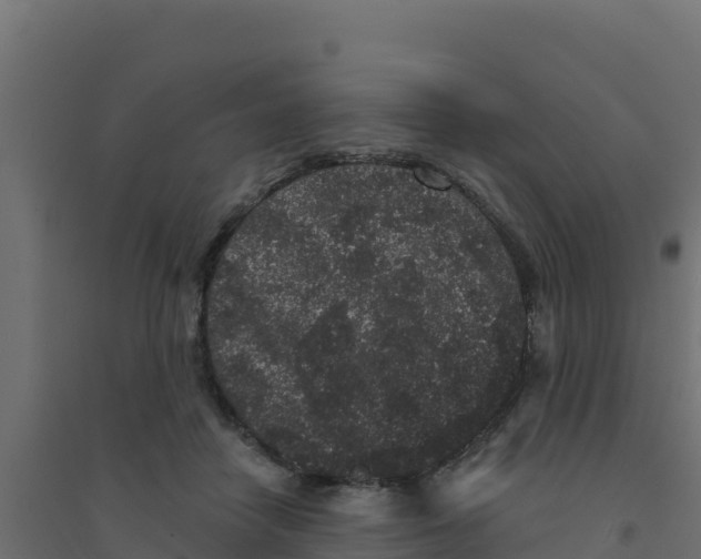 X0000094190458200711241619