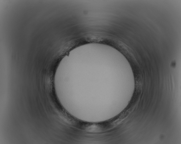 X0000094190460200711241619