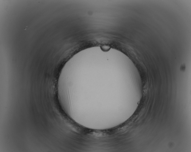 X0000094190464200711241619
