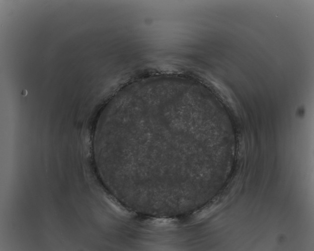 X0000094190465200711241619